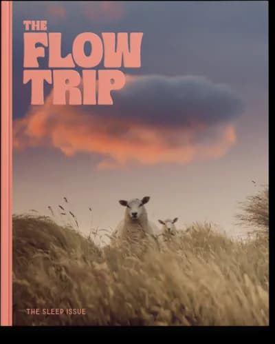 The Flow Trip issue cover